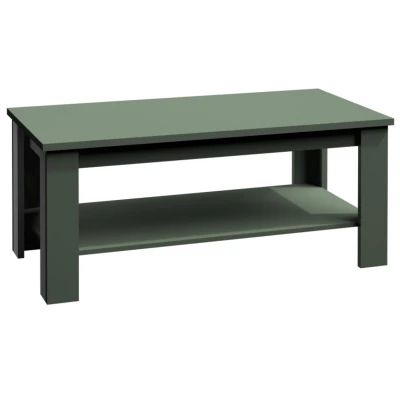Konferenční stolek s úložným prostorem MARIONA - zelený