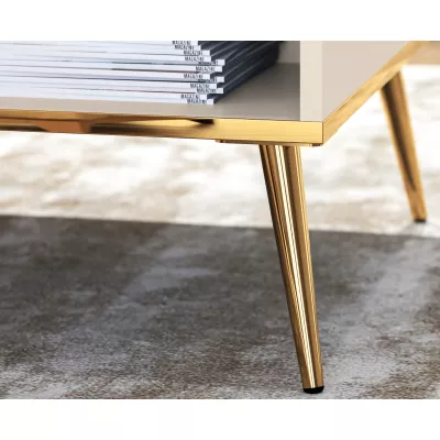 Konferenční stolek LUNA - béžový / zlatý