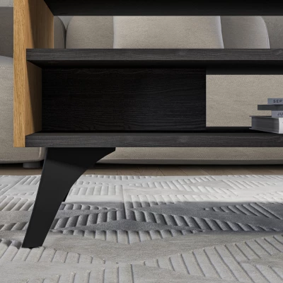 Konferenční stolek ANNIKA - dub baltic dune / jasan portland černý