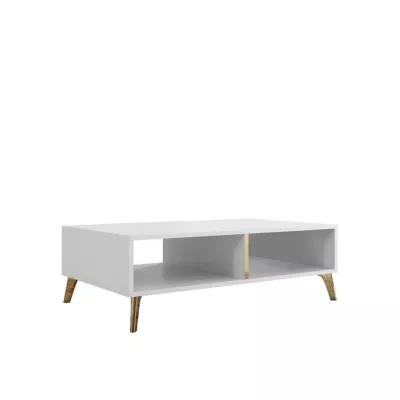 Konferenční stolek TANTES - bílý / lesklý bílý