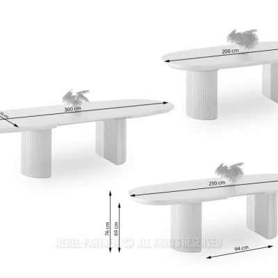 Oválný rozkládací stůl 200(300)x110 ANTOS - dub