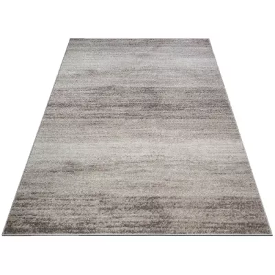 Moderní koberec 160x220 cm ADALBERTO - béžový