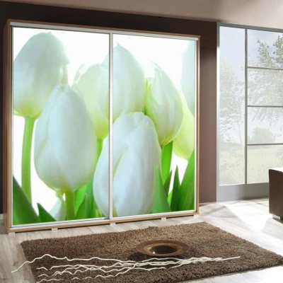 Široká šatní skříň 205 cm s potiskem DANUBE 66 - dub catania