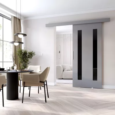 Posuvné dveře BARRET 8 - 106 cm, šedé