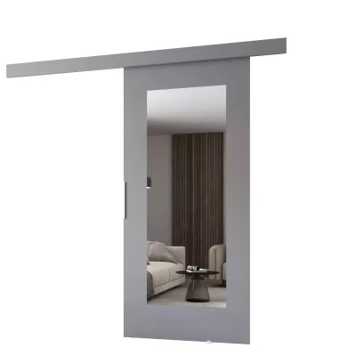 Posuvné dveře se zrcadlem BARRET 9 - 106 cm, šedé
