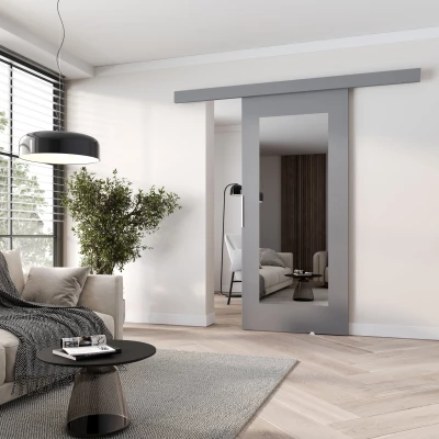 Posuvné dveře se zrcadlem BARRET 9 - 106 cm, šedé