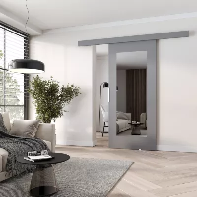 Posuvné dveře se zrcadlem BARRET 9 - 106 cm, šedé