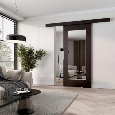 Posuvné dveře se zrcadlem BARRET 9 - 106 cm, wenge