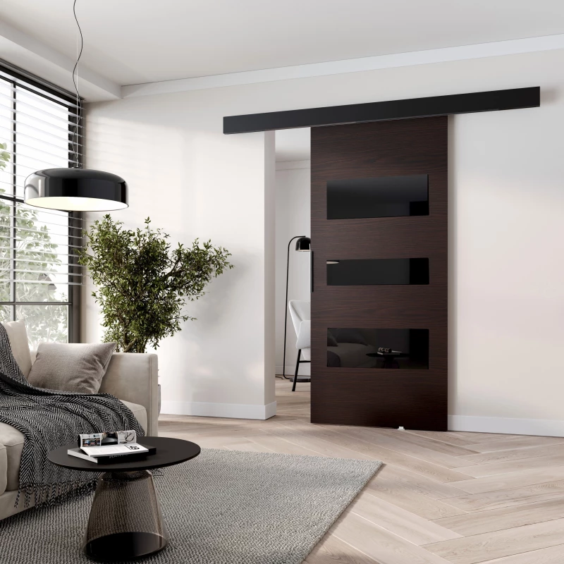 Posuvné dveře na stěnu BARRET 13 - 106 cm, wenge / černé