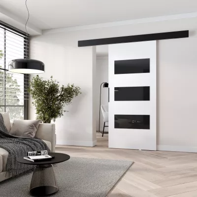 Interiérové dveře na stěnu BARRET 15 - 76 cm, bílé / černé