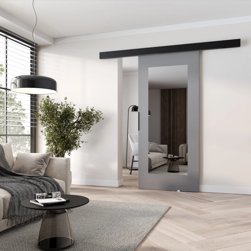 Posuvné dveře se zrcadlem BARRET 19 - 76 cm, šedé / černé