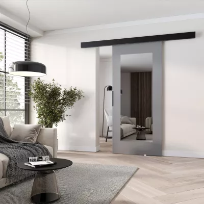 Posuvné dveře se zrcadlem BARRET 19 - 76 cm, šedé / černé