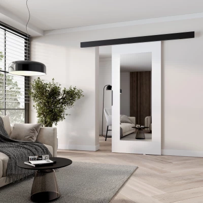 Posuvné dveře se zrcadlem BARRET 19 - 76 cm, bílé / černé