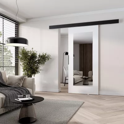 Posuvné dveře se zrcadlem BARRET 19 - 76 cm, bílé / černé