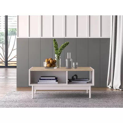 Konferenční stolek THEA - kašmír / dub