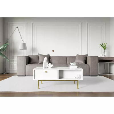 Konferenční stolek SHELDON - bílý mramor