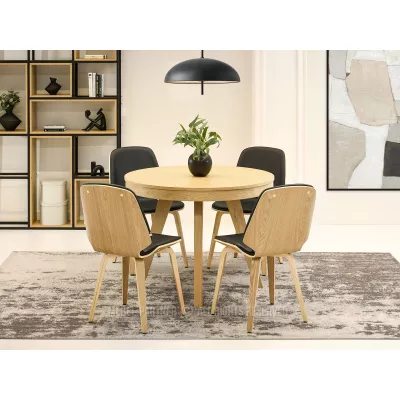 Jídelní židle AMELINA - černá / dub