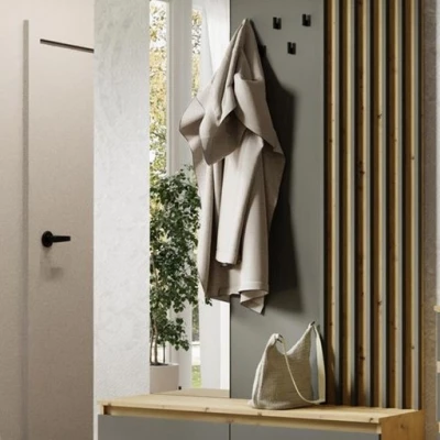 Předsíňová stěna se zrcadlem JAMUNDI - dub artisan / grafitová