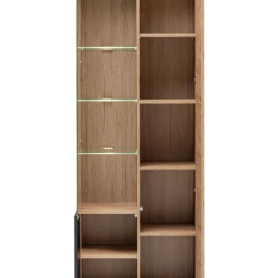 Prosklená vitrína INKADU s LED osvětlením - dub ribbeck / černá