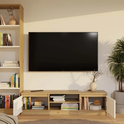 Televizní stolek SABA 2 - dub artisan / bílý