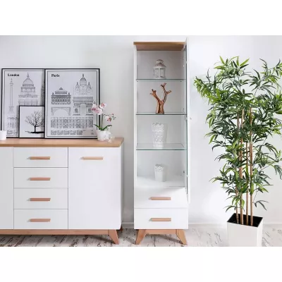 Úzká prosklená vitrína BUTNER - borovice andersen / dub nash