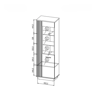 Úzká vitrína CATAWBA - dub wotan / černá