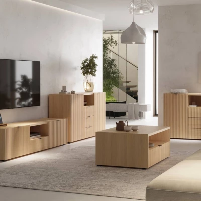 Nábytek do obývacího pokoje TROUTDALE - dub vicenza