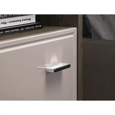 Noční stolek SAFIEH - dub / kašmír