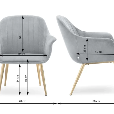 Čalouněné křeslo RAUL - krémové / zlaté