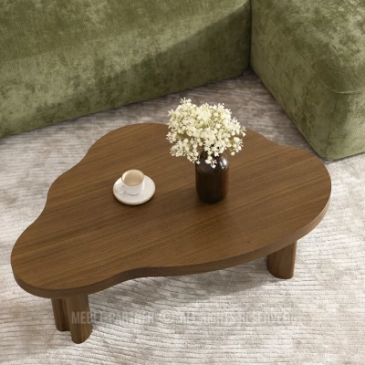 Konferenční stolek ZEVO - ořech