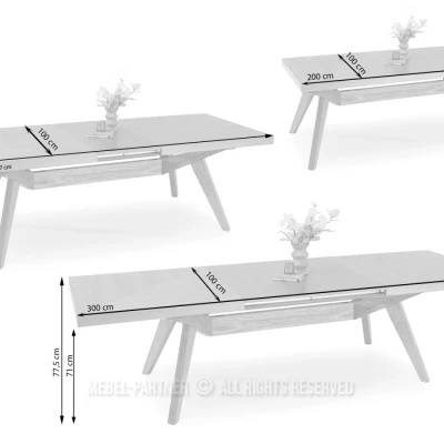 Rozkládací jídelní stůl 200(300)x100 KABUDAL - černý