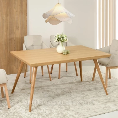 Jídelní stůl 160(260)x100 HARLY - dub