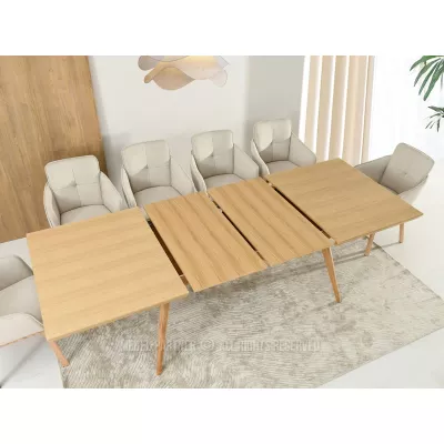 Jídelní stůl 160(260)x100 HARLY - dub