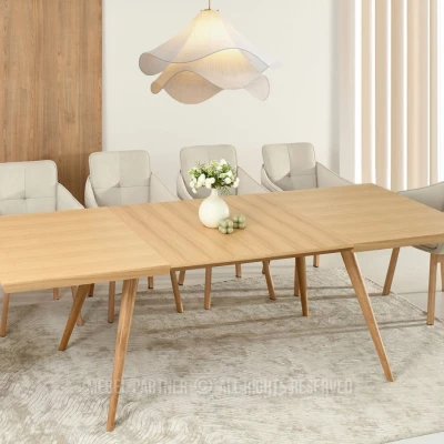 Jídelní stůl 160(260)x100 HARLY - dub