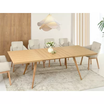 Jídelní stůl 160(260)x100 HARLY - dub