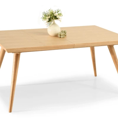 Jídelní stůl 160(260)x100 HARLY - dub