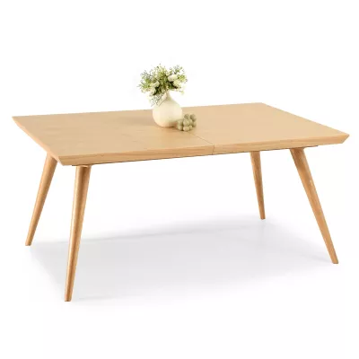 Jídelní stůl 160(260)x100 HARLY - dub