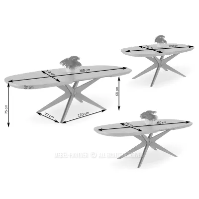 Rozkládací jídelní stůl 200(300)x110 EVIL - černý