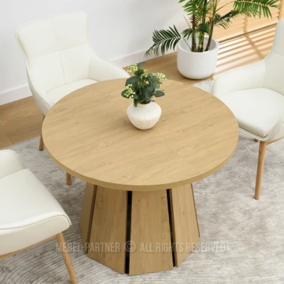 Designový rozkládací stůl 100(180)x100 DAMIEN - dub