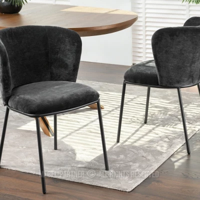 Jídelní židle DALMACIJA - černá