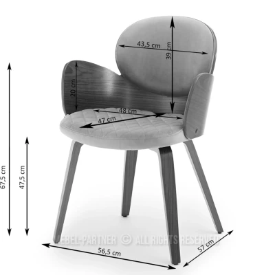 Designová jídelní židle RAWAN - dub / béžová