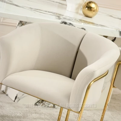 Stylová jídelní židle ODOSA - béžová / zlatá