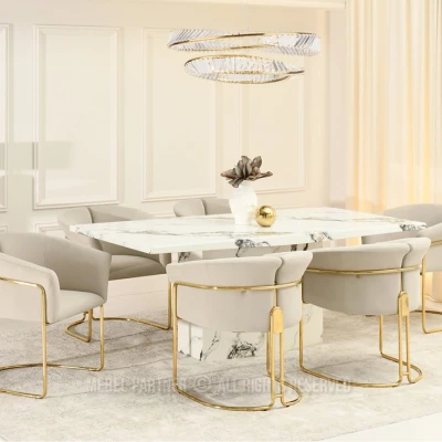 Stylová jídelní židle ODOSA - béžová / zlatá