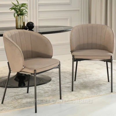 Čalouněná jídelní židle IMANI - béžová / černá