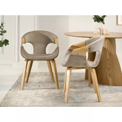 Jídelní židle DARLENIS - béžová / dub