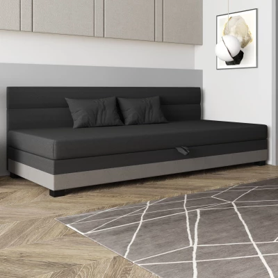 Jednolůžková čalouněná postel 120x195 NALINDA BIZ 2 - šedá / světle šedá