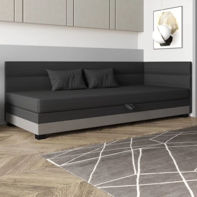 Jednolůžková čalouněná postel 120x195 NALINDA PLUS 1 - šedá / světle šedá