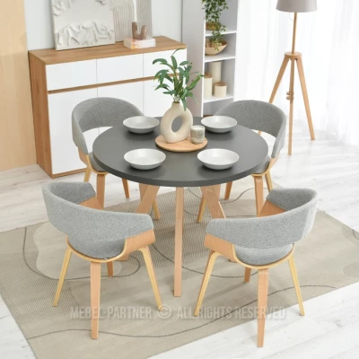 VÝPRODEJ - Jídelní židle BRISE - šedá / dub