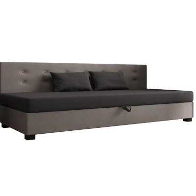 Jednolůžková postel 100x195 AJKA BIZ 1 - šedá / světle šedá