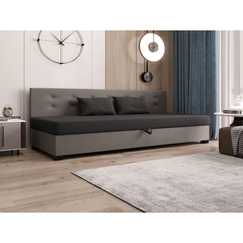 Jednolůžková postel 80x195 AJKA BIZ 2 - šedá / světle šedá
